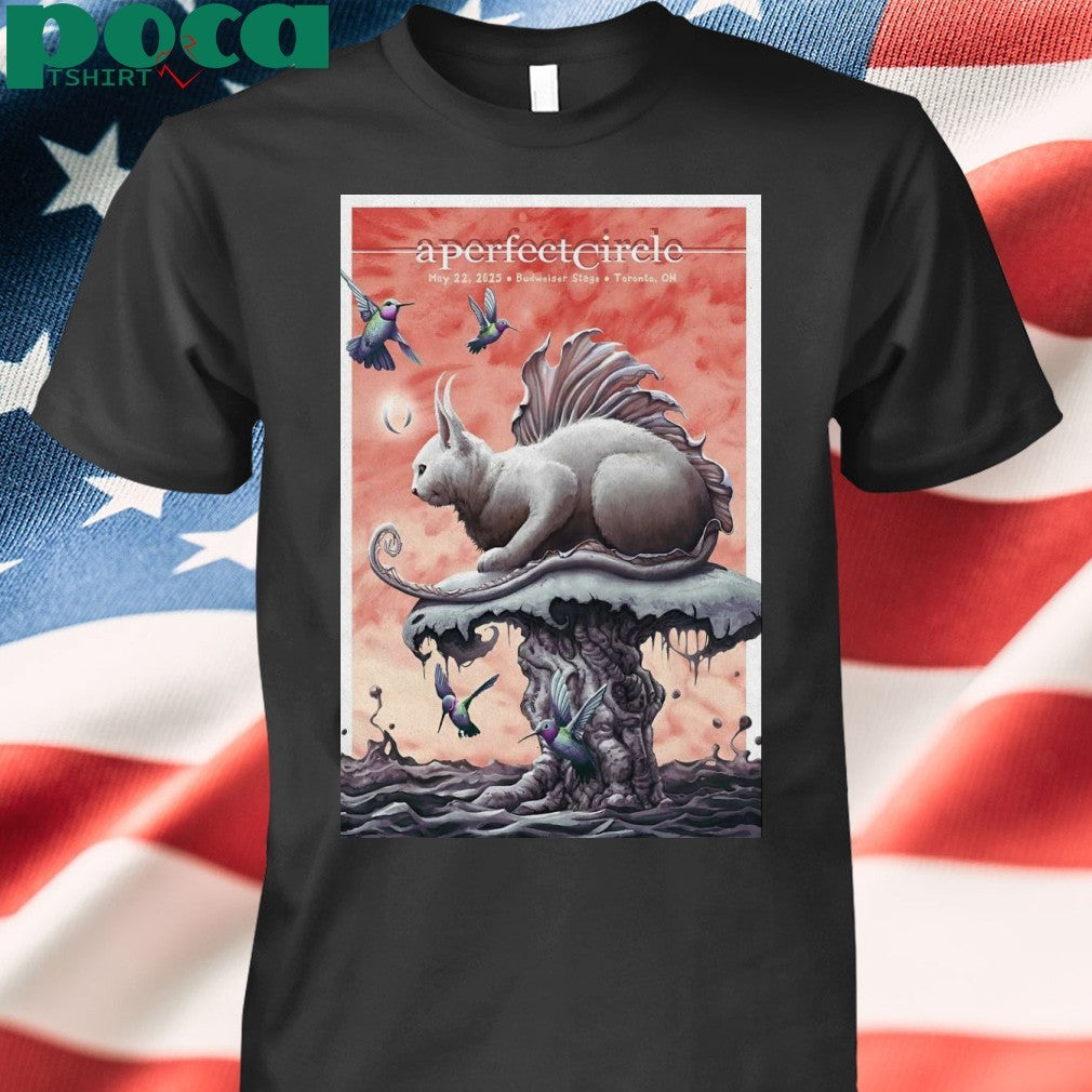 A Perfect Circle On May 22, 2025 In Toronto, ON Tour Poster shirt