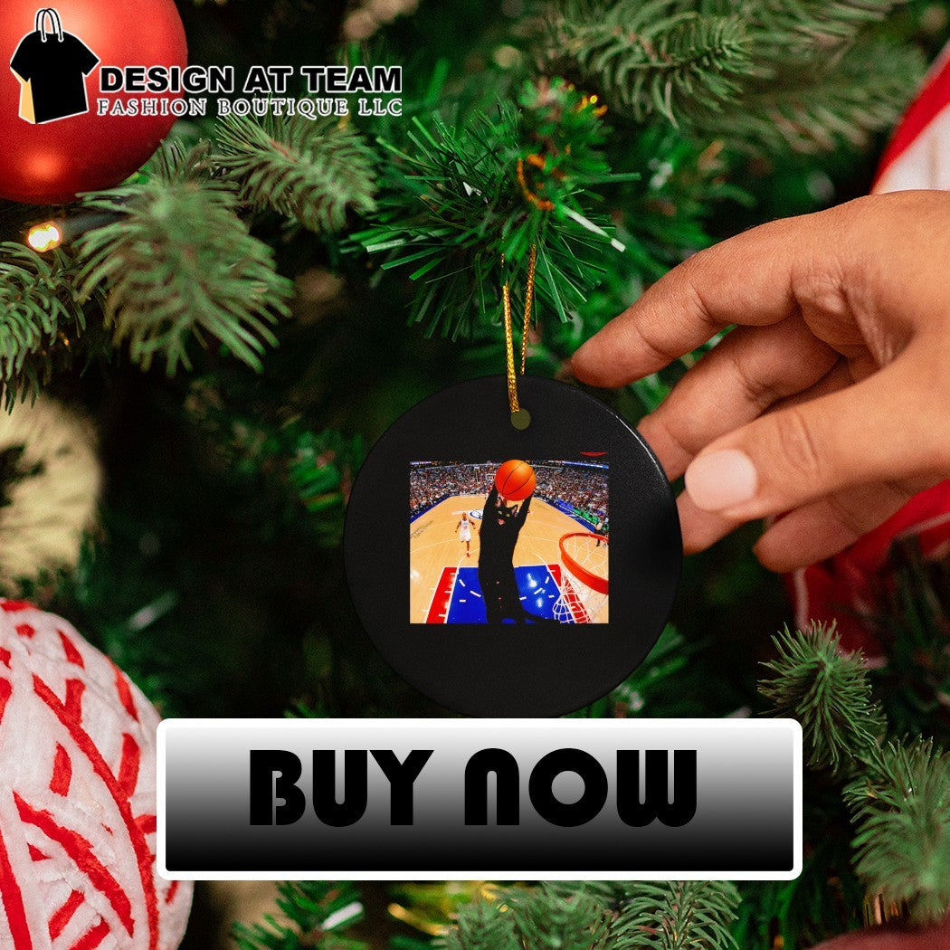 Cat Philadelphia 76ers Basketball player funny meme shirt