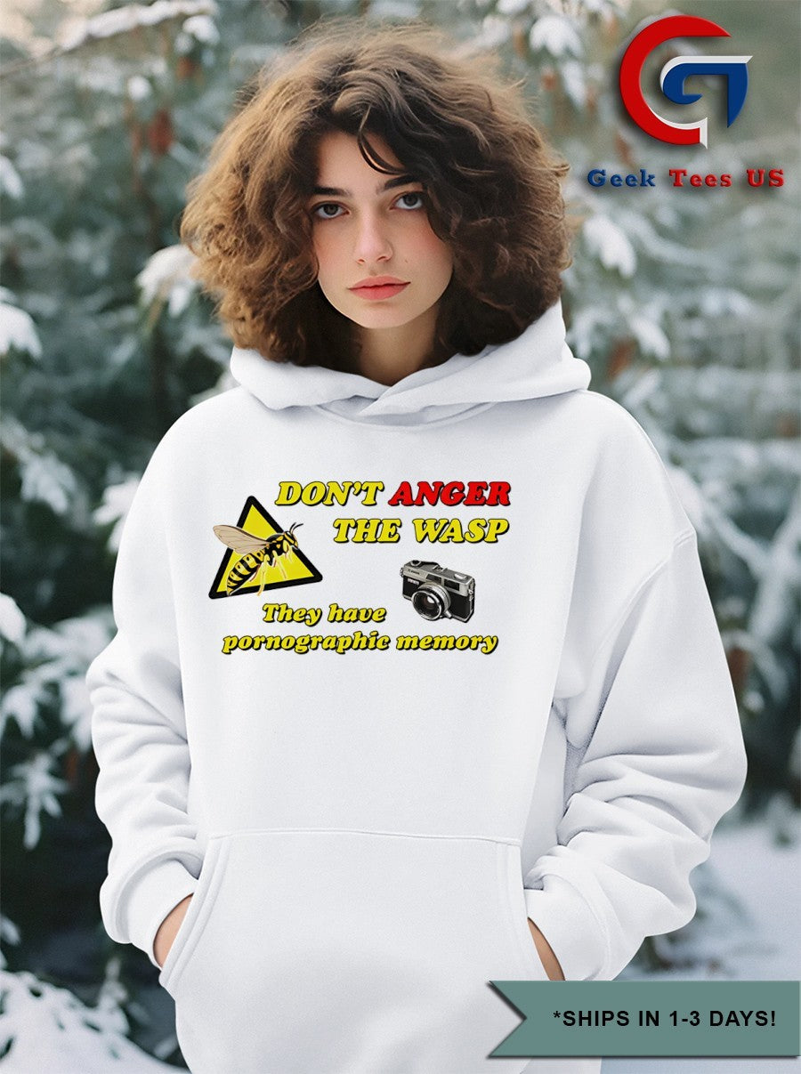 Don’t anger the wasp they have pornographic memory shirt