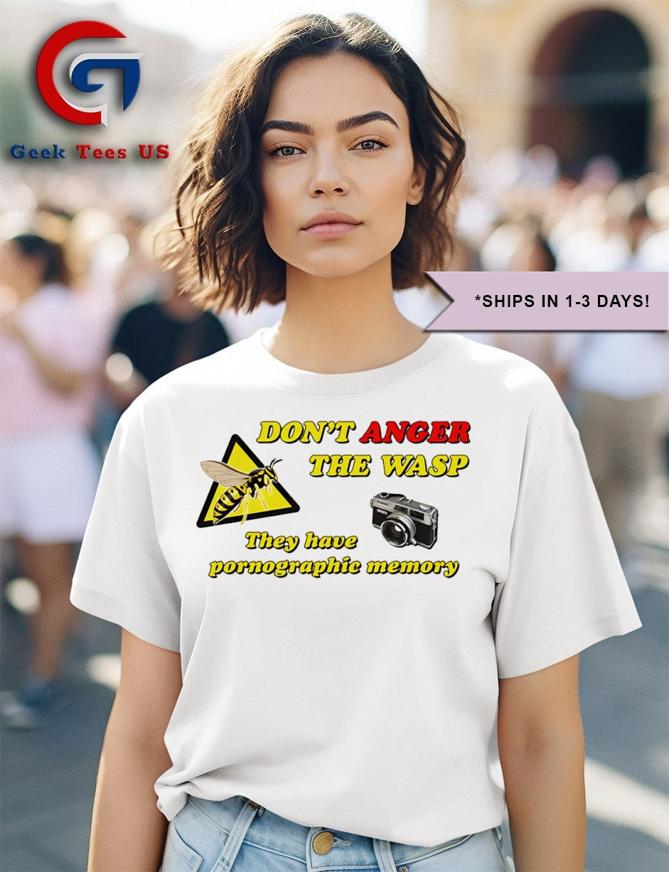 Don’t anger the wasp they have pornographic memory shirt