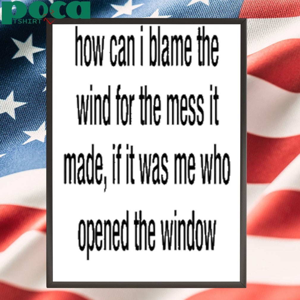 How Can I Blame The Wind For The Mess It Made shirt