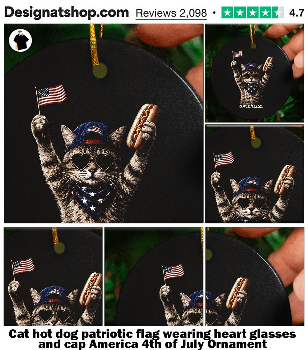 Cat hot dog patriotic flag wearing heart glasses and cap America 4th of July shirt