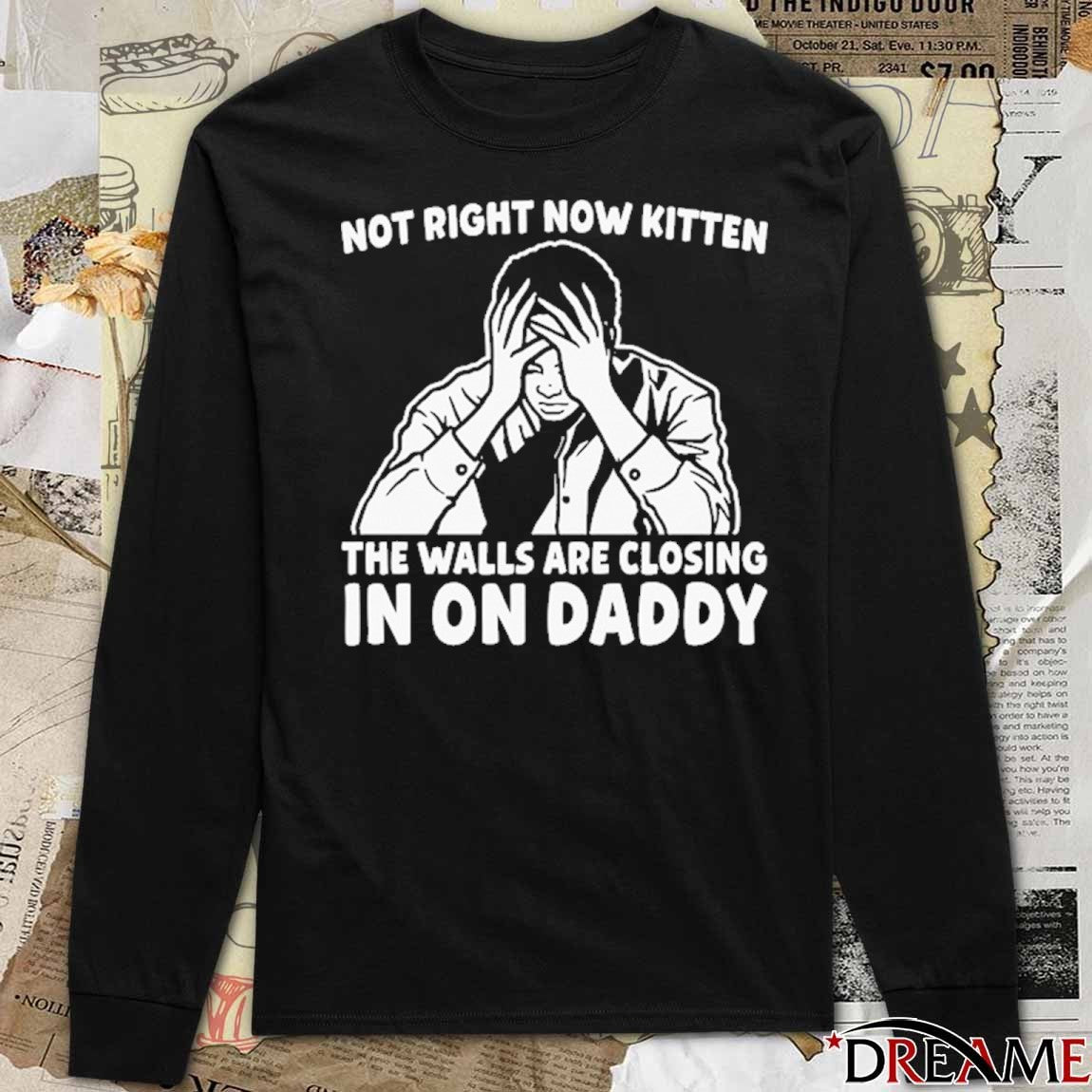 Not Right Now Kitten The Walls Are Closing In On Daddy t-shirt