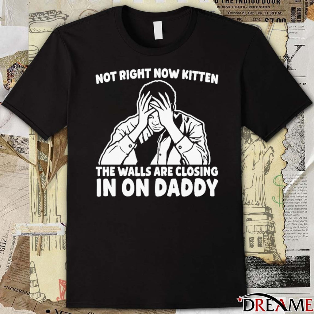 Not Right Now Kitten The Walls Are Closing In On Daddy t-shirt