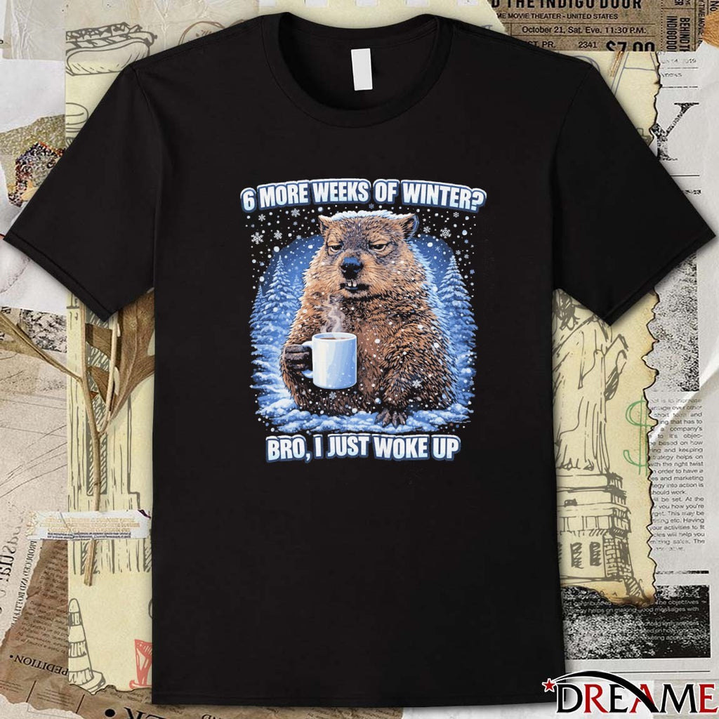 Phil Groundhog 6 More Weeks Of Winter Bro I Just Woke Up t-shirt