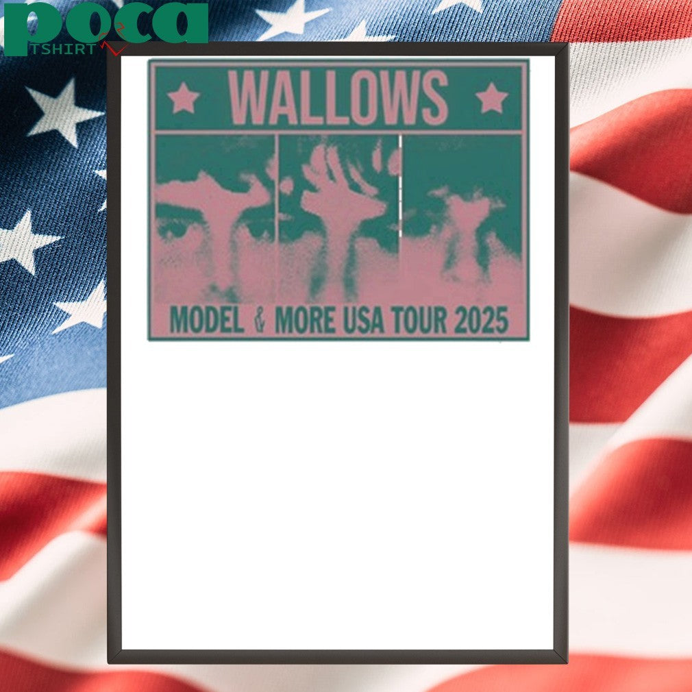 Wallows Info Wallows Model & More Usa Tour 2025 shirt
