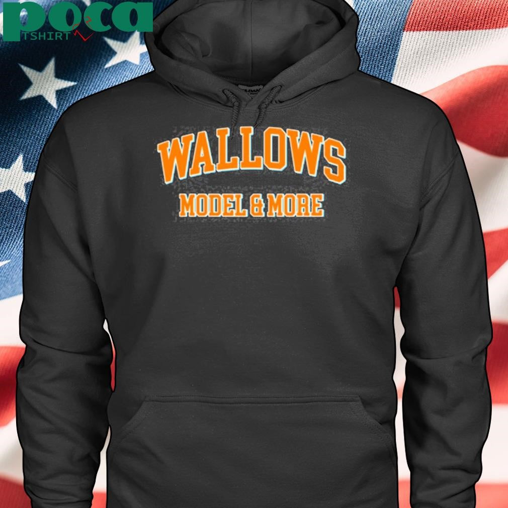 Wallows Model & More T Shirt