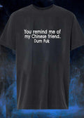 You Remind Me of My Chinese Friend Dum Fuk T-Shirt