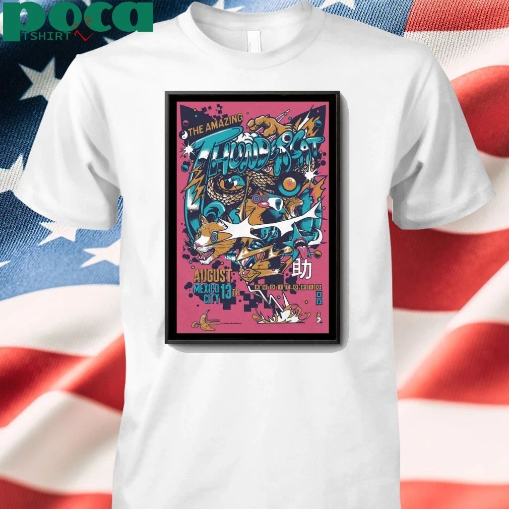 Thundercat August 13, 2025 Auditorio BB, Mexico City, Mexico Poster shirt