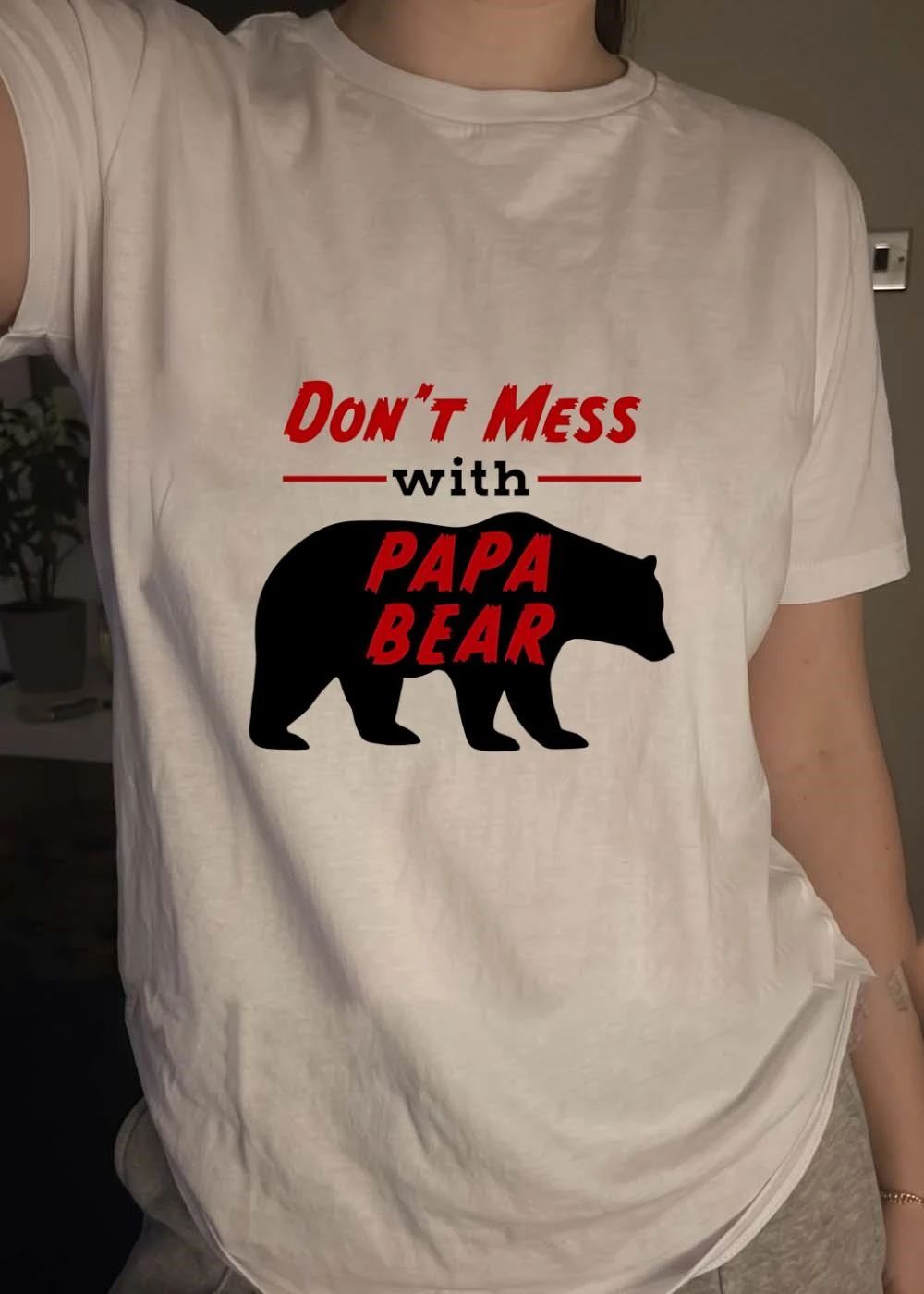 Father’s Day Gift Don’t Mess with Papa Bear T-Shirt