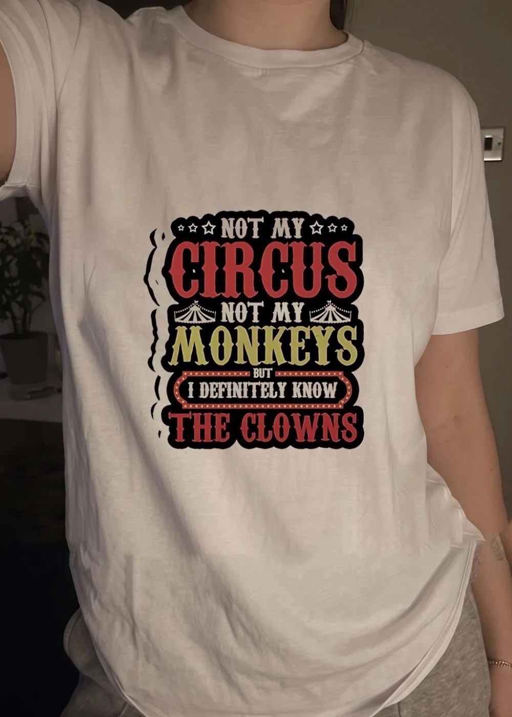 Funny Quote Apparel Not My Circus Not My Monkeys But I Know The Clowns T-Shirt