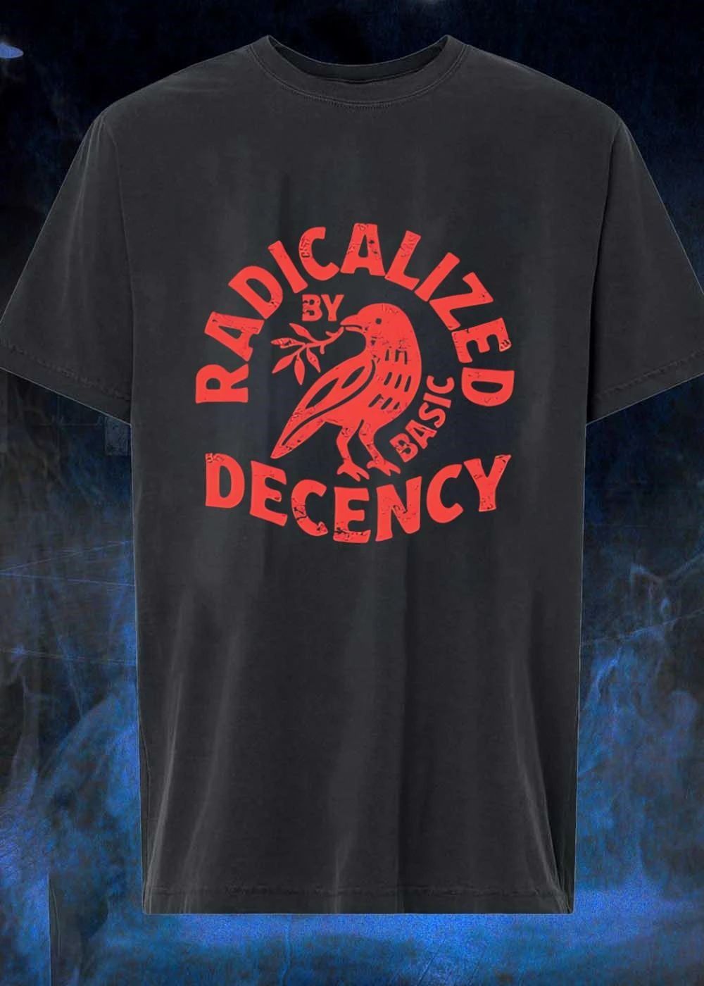 Radicalized by Basic Decency Peace Activism Social Justice Human Rights shirt