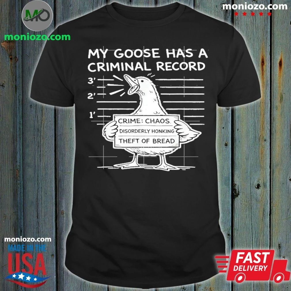 Original My Goose Has a Criminal Record, Funny Chaos Honking Meme Shirt
