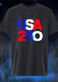USA 250 Overlay pride shirt