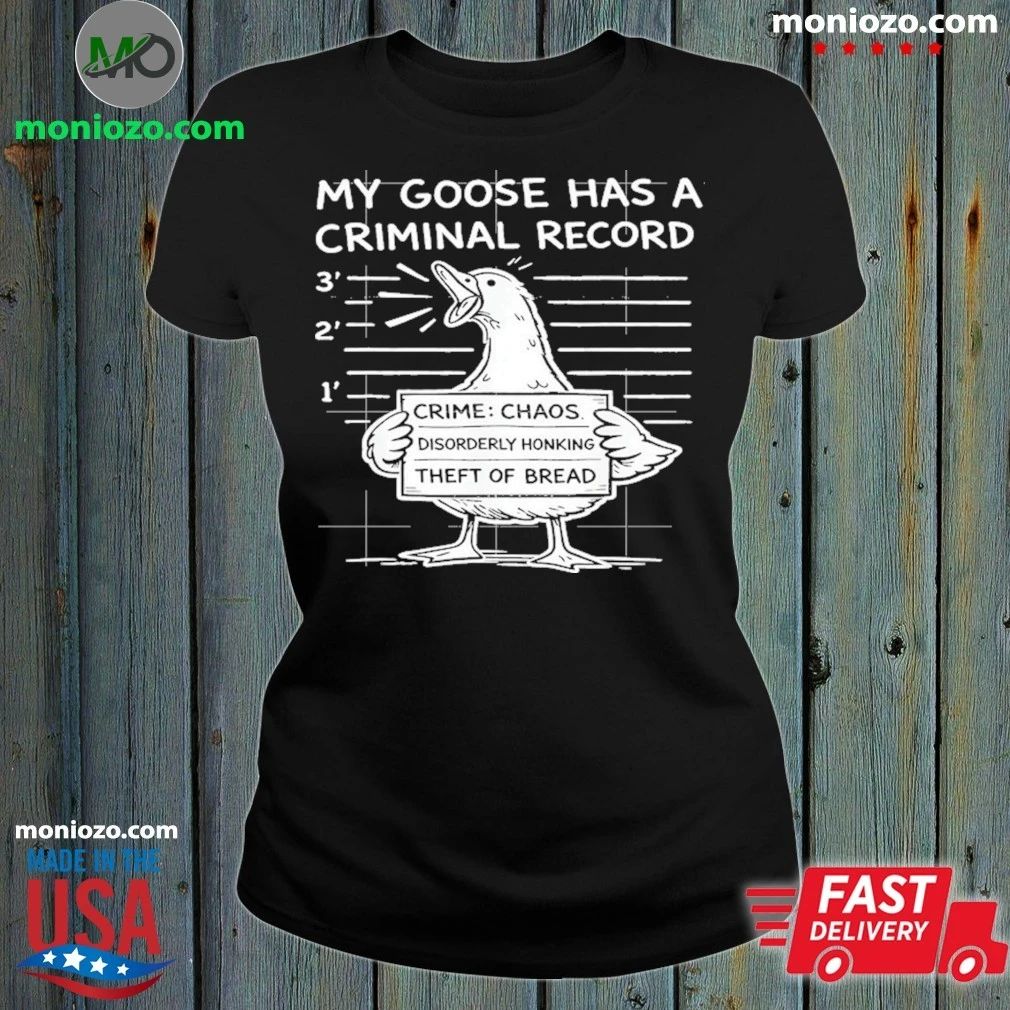 Original My Goose Has a Criminal Record, Funny Chaos Honking Meme Shirt