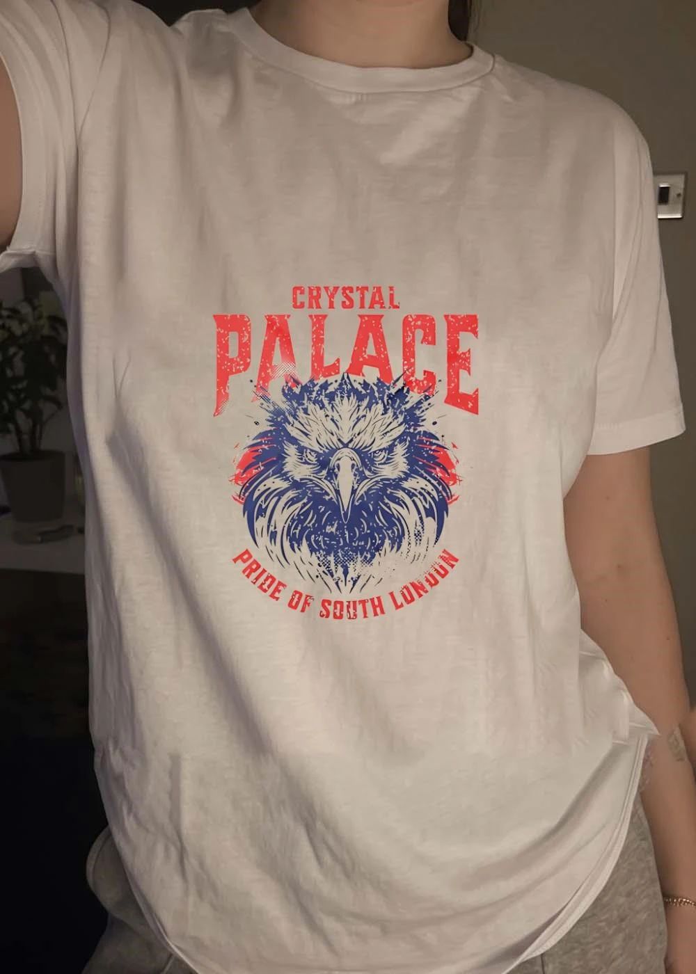 South London Pride Eagle Crystal Palace shirt