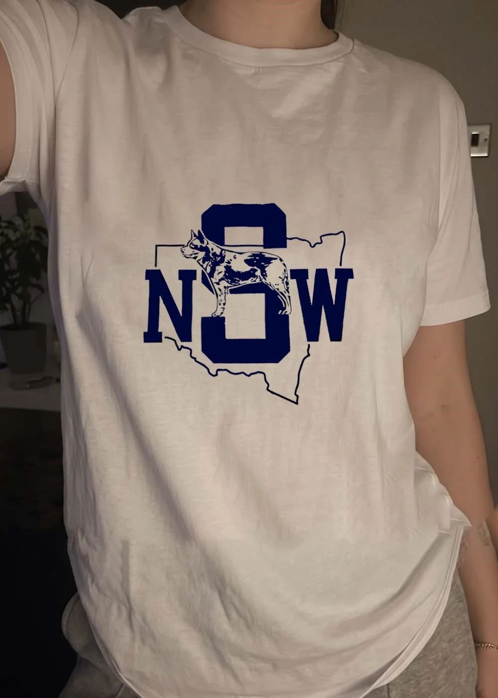 NSW Cattle Dog Australian State Map NSW T-Shirt