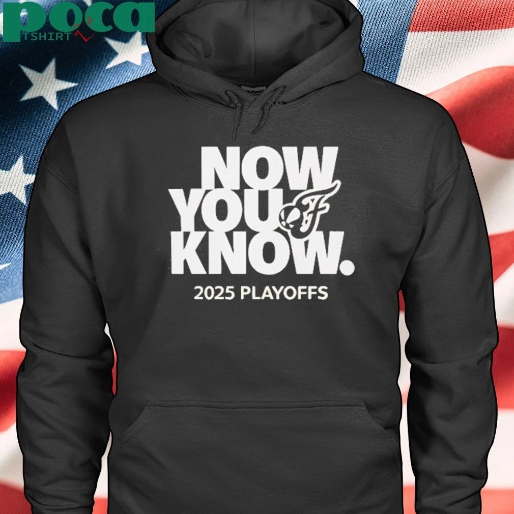 Fever Now You Know 2025 Playoffs T-shirt